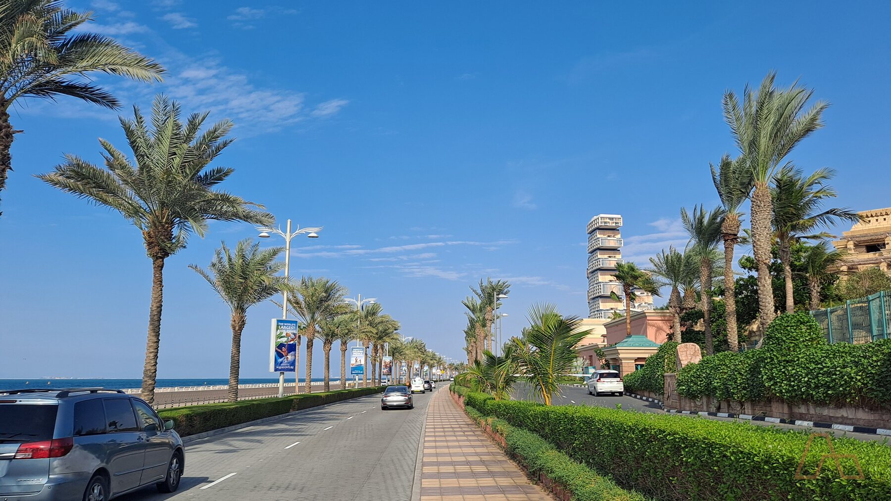 A palm-lined boulevard on Palm Jumeirah, where Arada's Armani Beach Residences sits