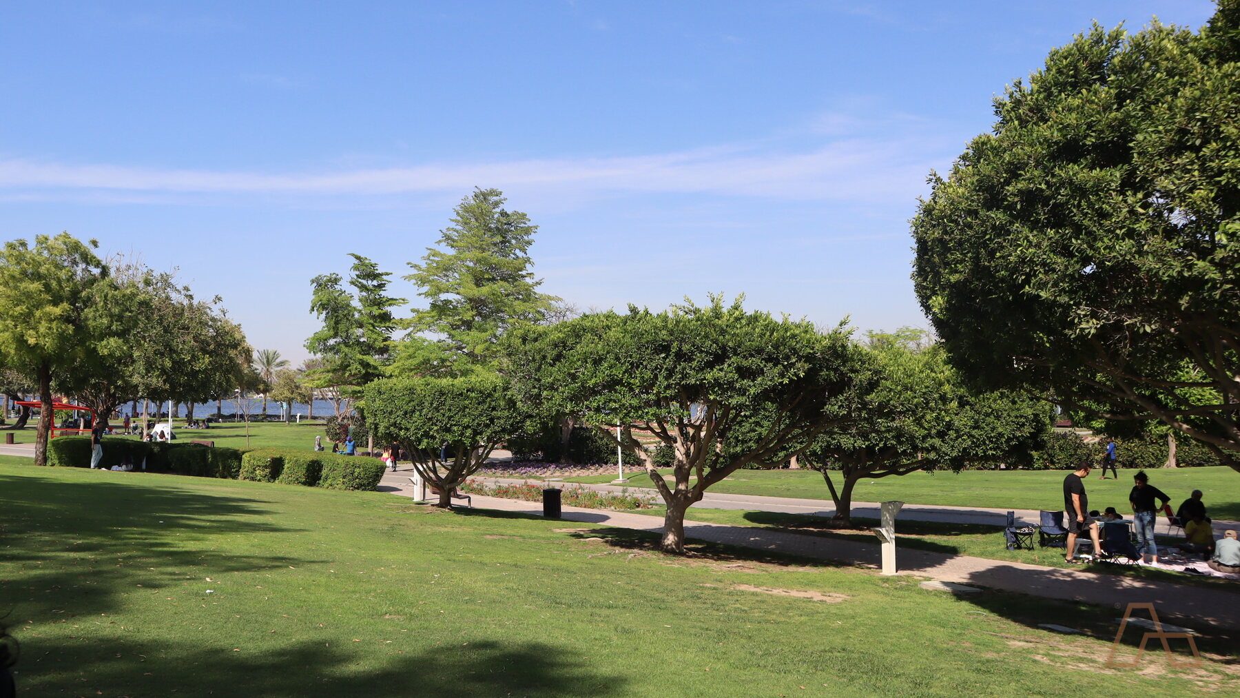 Community landscaping in a Dubai residential neighbourhood