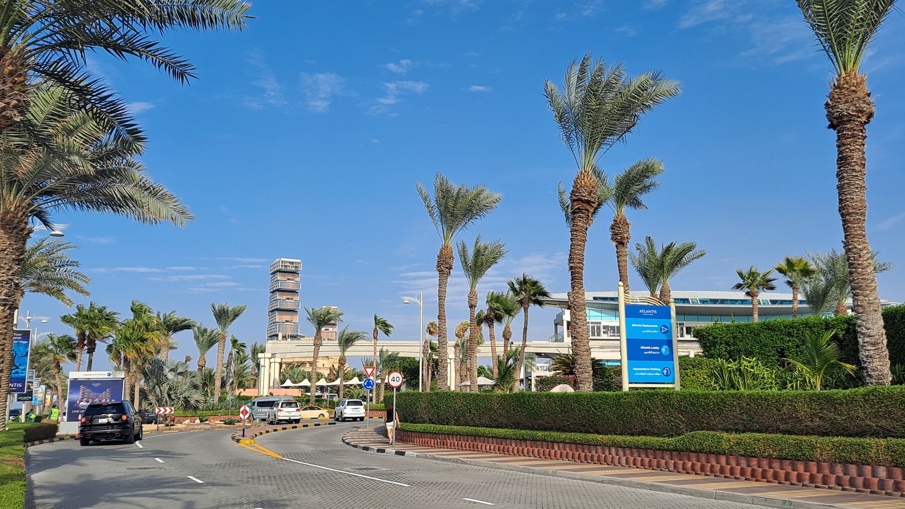 شارع سكني في نخلة جميرا