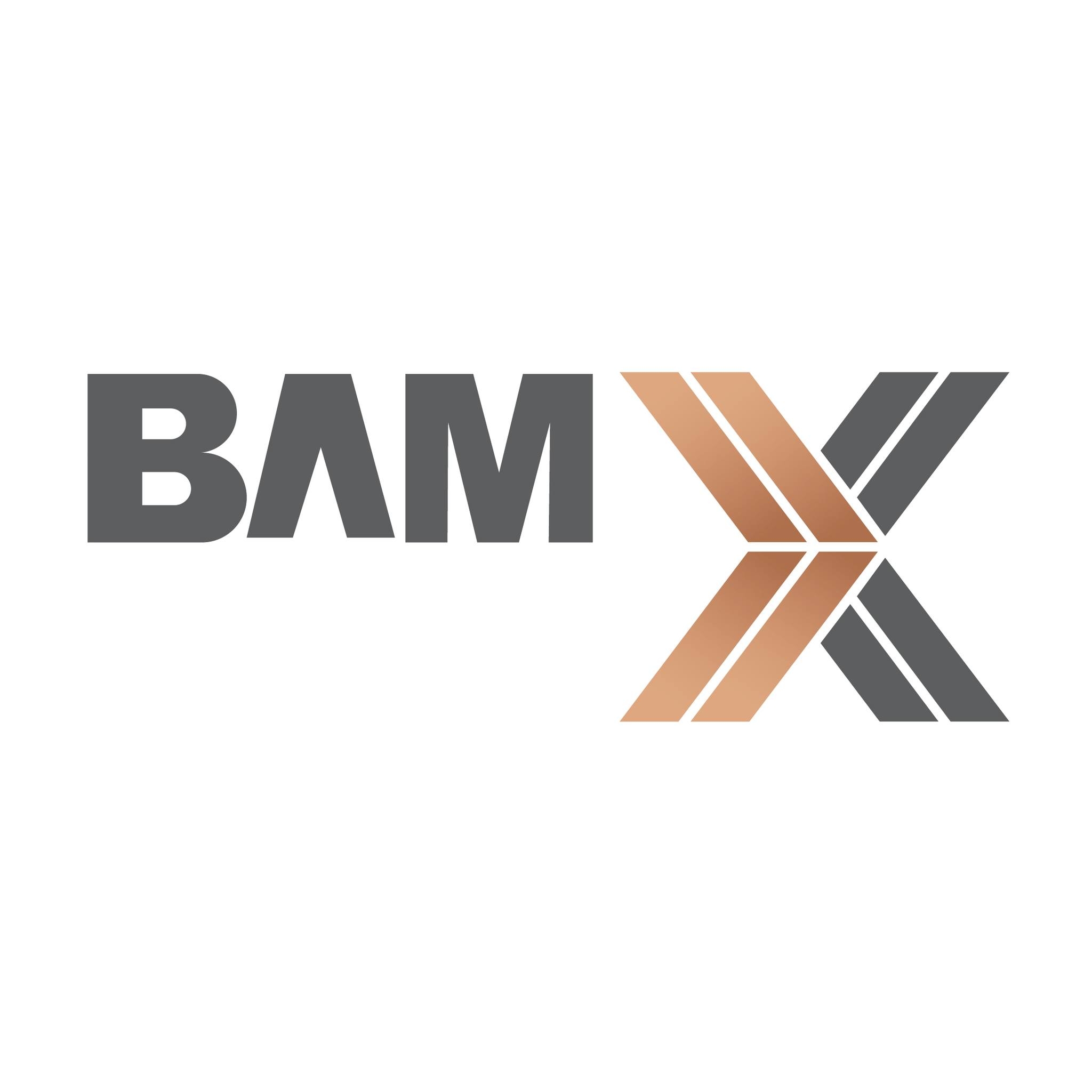 Bam X logo